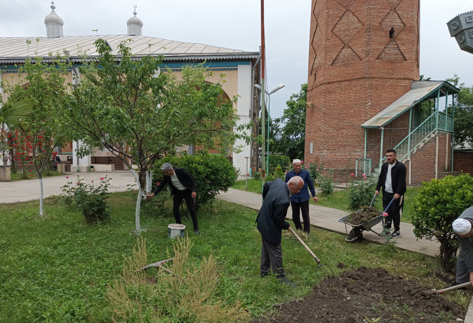 В Азербайджане стартовала экологическая кампания «За зеленое будущее»