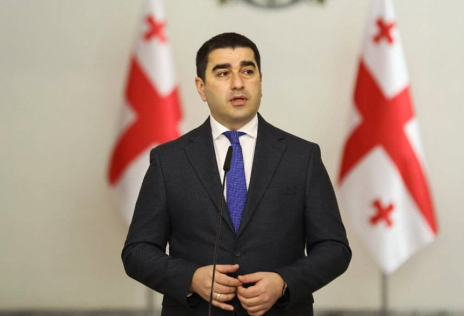 Şalva Papuaşvili: ABŞ və bəzi Qərb dövlətləri Gürcüstanda şəffaflığın olmasını istəmirlər
