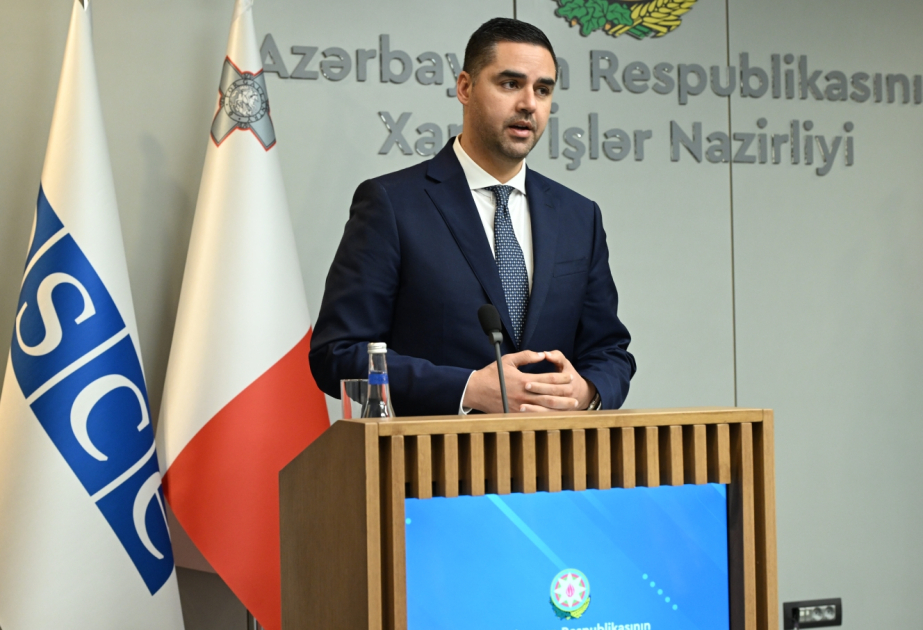 İan Borq: Sərhədlərin delimitasiyasının başlanması müsbət haldır VİDEO