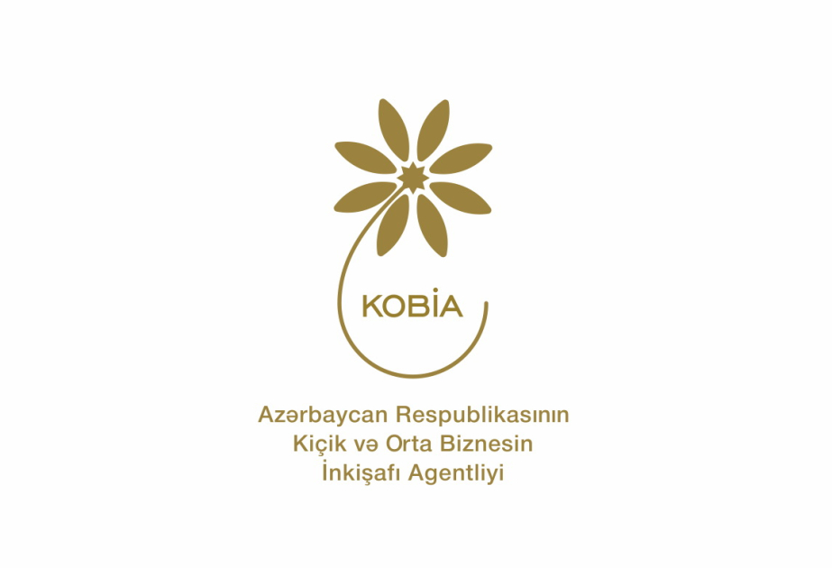 KOBİA İtaliya şirkətləri il birgə müəssisələrin yaradılmasına dəstək göstərməyə hazırdır