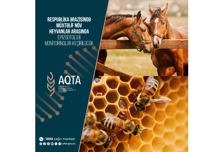 Azərbaycanda müxtəlif növ heyvanlar arasında epizootoloji monitorinqlər keçiriləcək