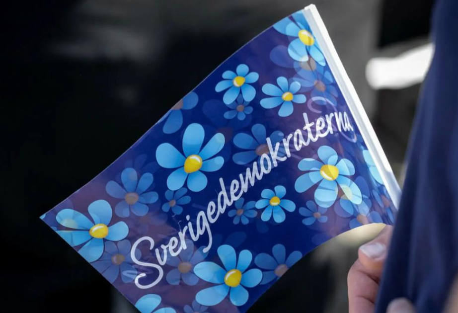 İsveç demokratları sosial şəbəkələrdə anonim hesablar aparırlar