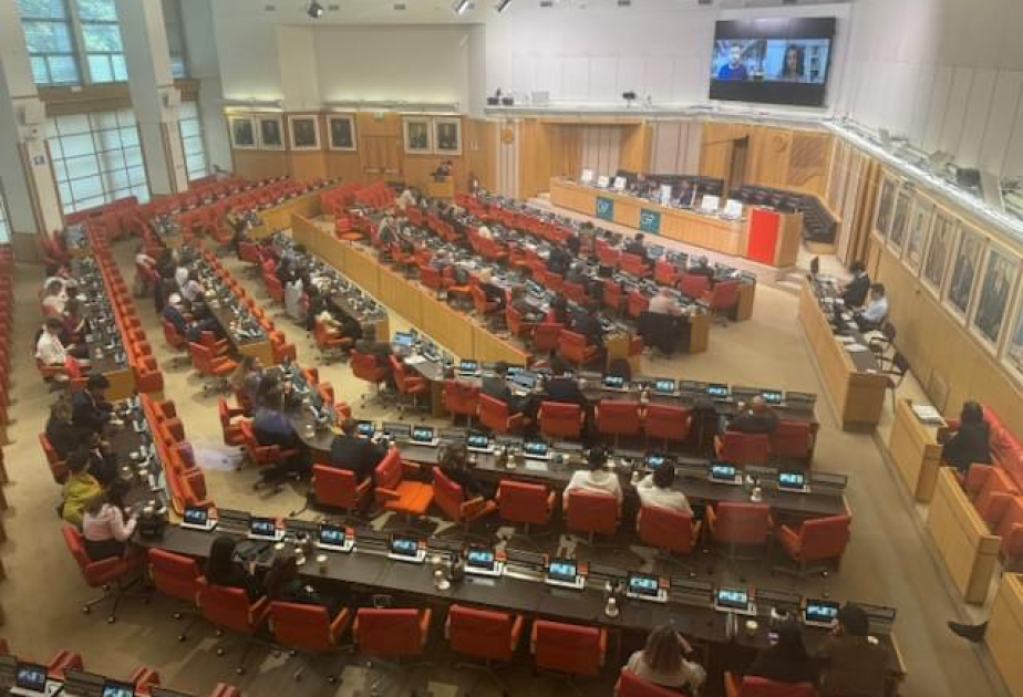 G7 ölkələrinin vətəndaş cəmiyyəti sammitində Azərbaycanın COP29-a hazırlığından danışılıb