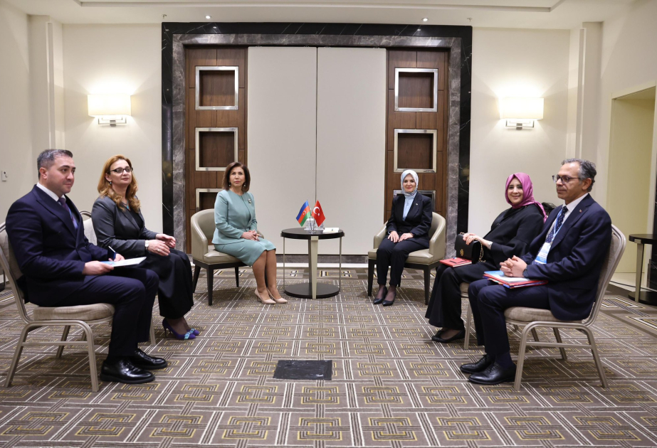 Turkish Minister: We will continue developing deep relations with Azerbaijan across all domains