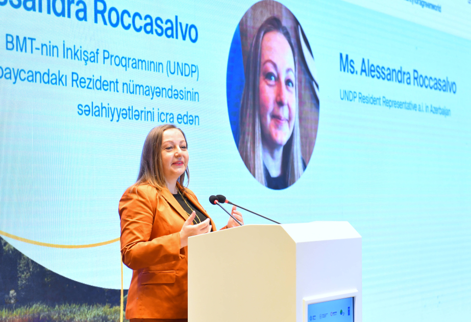 Alessandra Rokasalvo: Azərbaycanın böyük yaşıl enerji potensialı var