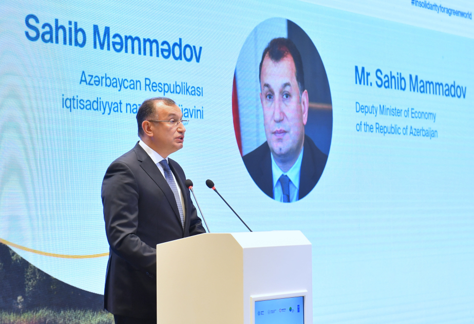 Nazir müavini: COP29-un müvəffəqiyyətini təmin etmək üçün irəli sürülən təşəbbüslərin reallaşdırılması üzrə işlər aparılır