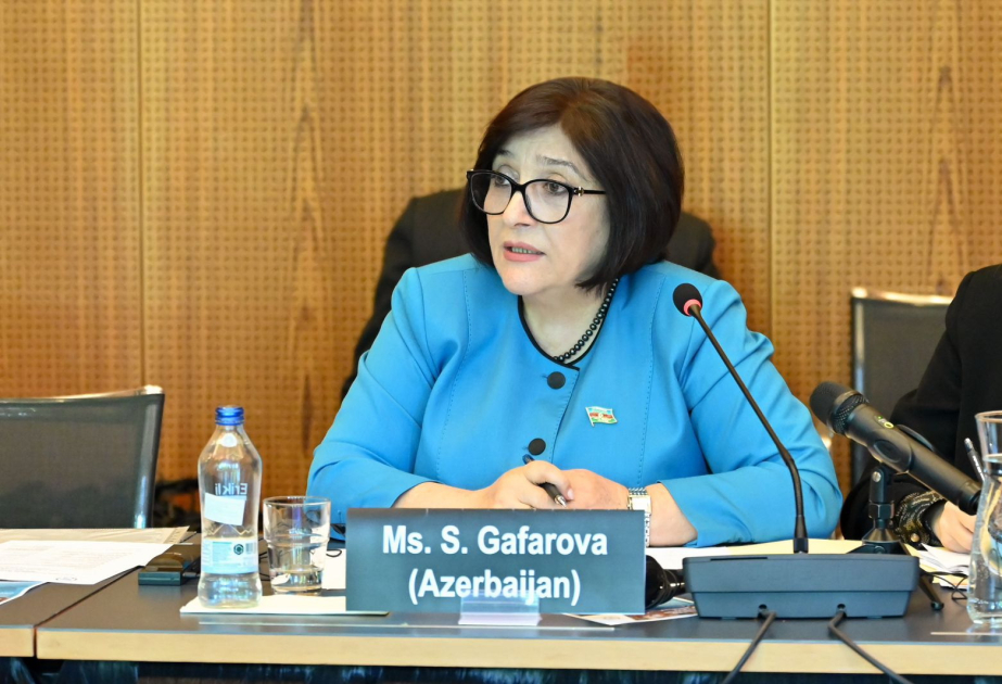 Milli Məclisin sədri gender bərabərliyinin təminində qarşıya çıxan problemlərdən danışıb