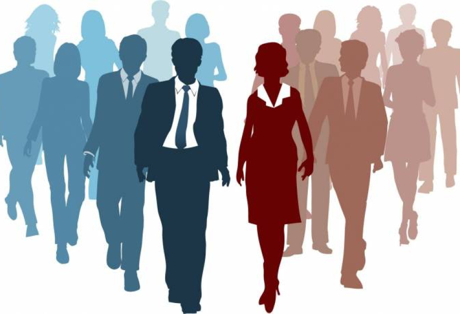 Gender bərabərliyinin qorunmasına hansı dövlət qurumlarında və siyasi partiyada əməl olunub?
