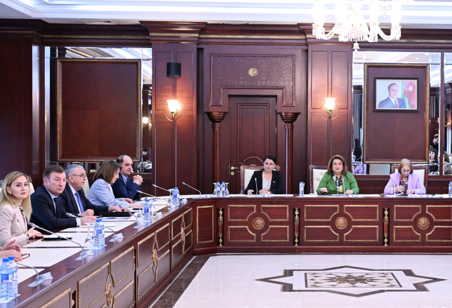 Məişət zorakılığı ilə bağlı Daxili İşlər Nazirliyinə edilən müraciətlərin sayı azalıb