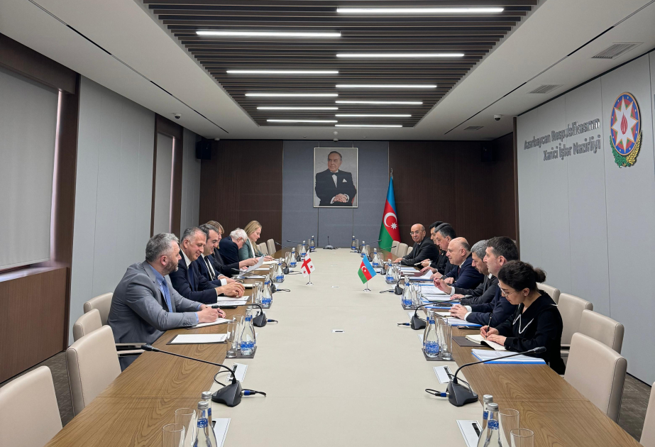 Azərbaycan və Gürcüstan XİN-ləri arasında siyasi məsləhətləşmələr aparılıb