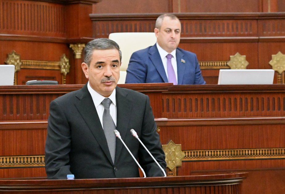 İnsan alverinə qarşı mübarizə üzrə Milli Koordinatorun illik məlumatı parlamentdə müzakirəyə çıxarılıb