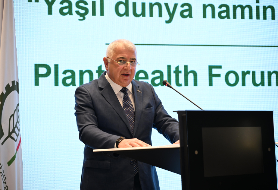 Nazir müavini: Ölkədə Eldar şamı və zeytun ağaclarında xəstəliklərin miqyasının genişlənməsi müşahidə edilir