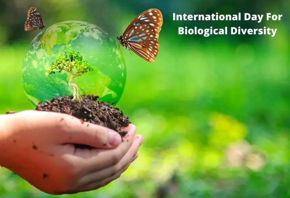 Aujourd’hui, c’est la Journée internationale de la diversité biologique