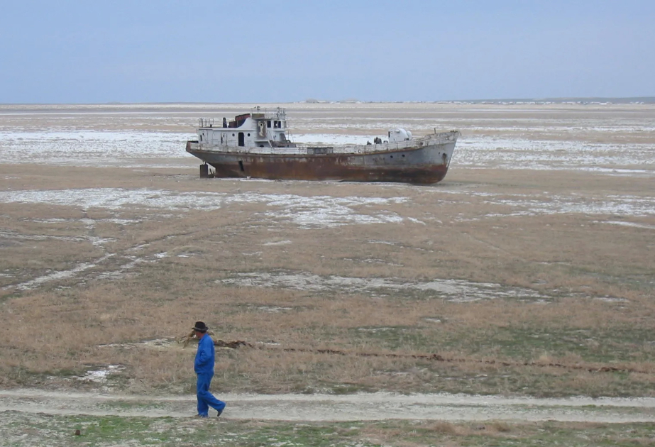 Kazakhstan suggests setting up int’l Aral Sea dried bottom afforestation center