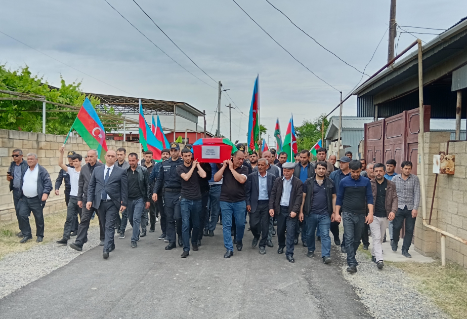 Şəhid Zülfüqar Abbasovun nəşinin qalıqları Sabirabadda torpağa tapşırılıb VİDEO
