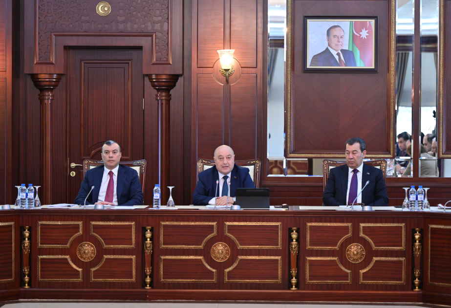 Musa Quliyev: Yeni qanun layihəsi sosial sığorta prinsipinin təkmilləşdirilməsini özündə ehtiva edir