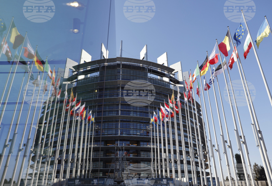 BTA to cover thoroughly upcoming European elections