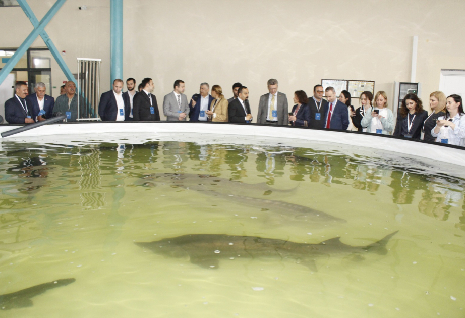 Сотрудники БГУ приняли участие в мероприятии, посвященном Международному дню биоразнообразия