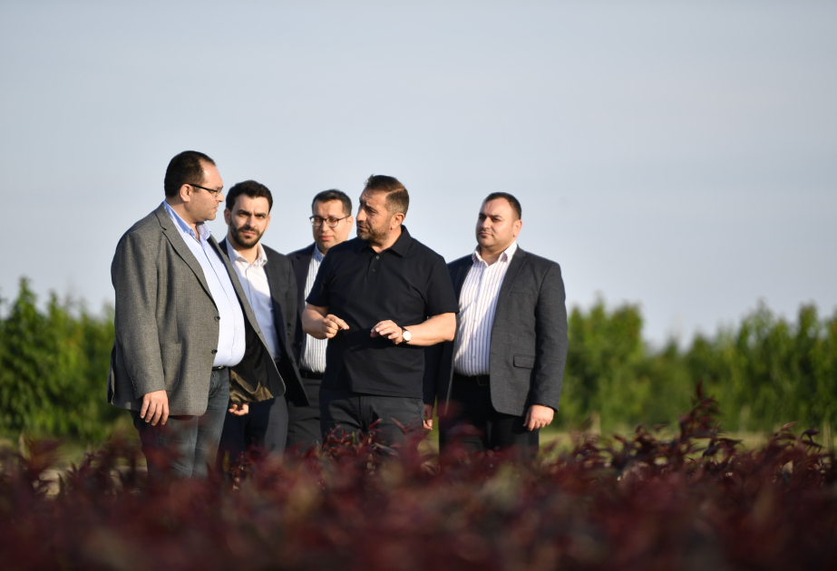 Kənd təsərrüfatı naziri Yevlaxda fermer təsərrüfatlarına baş çəkib