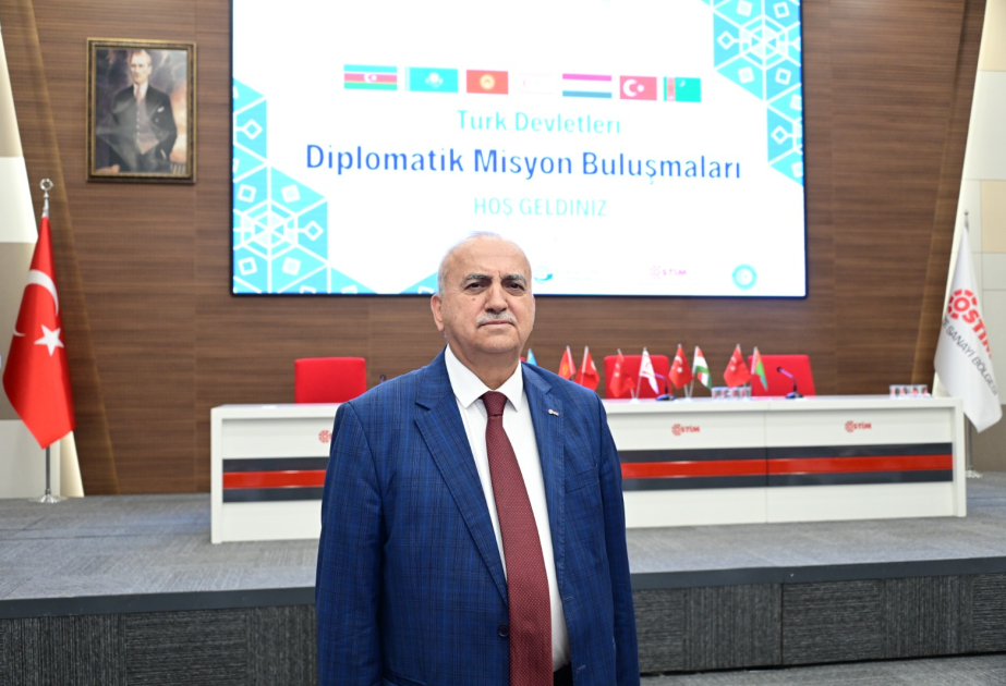 Орхан Айдын: Тюркские государства могут наладить экспорт продукции под единым брендом Turan