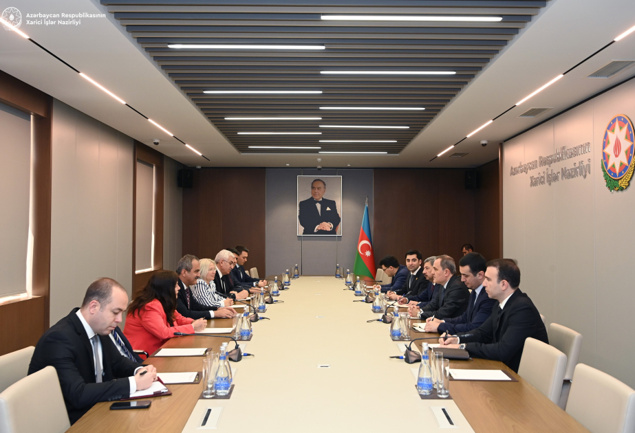 Министр иностранных дел Азербайджана встретился с председателем комиссии Великого национального собрания Турции