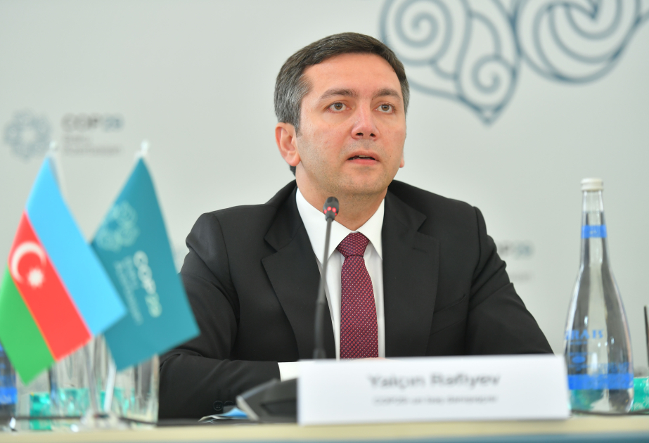 Ялчин Рафиев: Основная цель Азербайджана – действовать и продвигаться вперед для достижения целей СОР