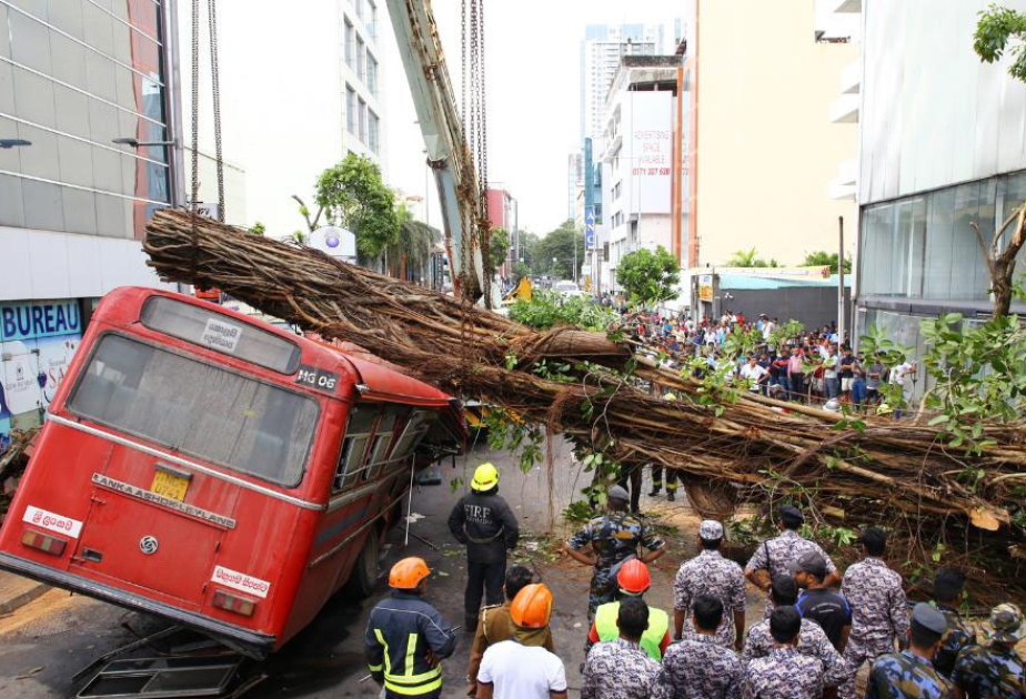 6 killed by falling tree branches during inclement weather in Sri Lanka