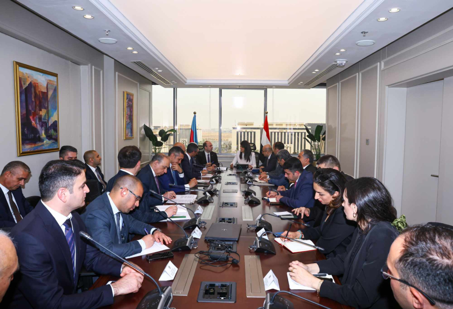 Azerbaijan, Egypt discuss prospects for relations