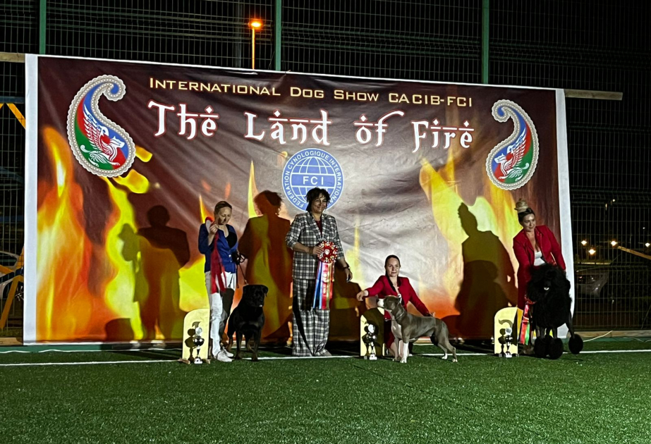 В Баку прошел кинологический фестиваль The Land of Fire 2024