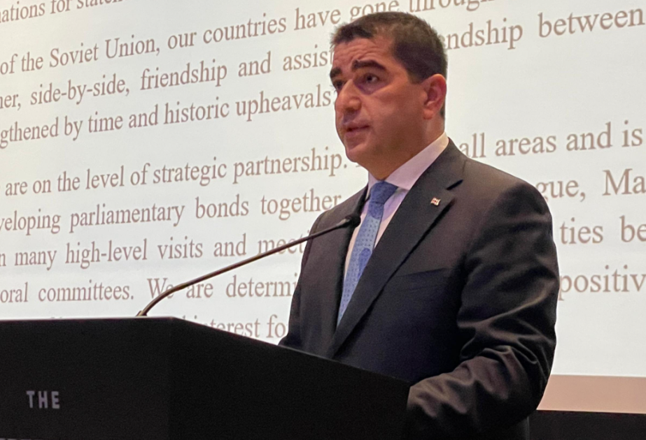 Papuaşvili: Azərbaycanla Gürcüstan regional sülh istiqamətində sıx əməkdaşlıq edir