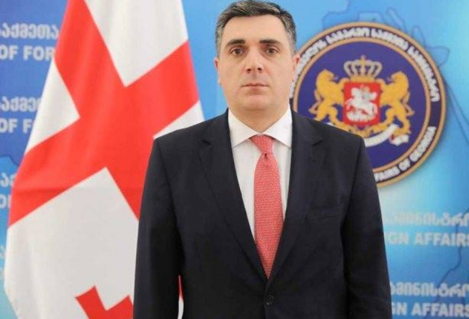Canciller de Georgia: "Valoramos muy positivamente nuestra asociación estratégica de confianza con Azerbaiyán y esperamos desarrollarla en los próximos años"