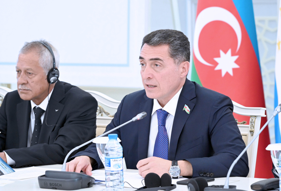 Əli Hüseynli: Fransız Polineziyasının öz müqəddəratını təyin etmək hüququ vardır VİDEO