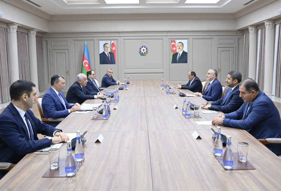 Премьер-министр Али Асадов встретился с министром труда и социальной защиты Турции