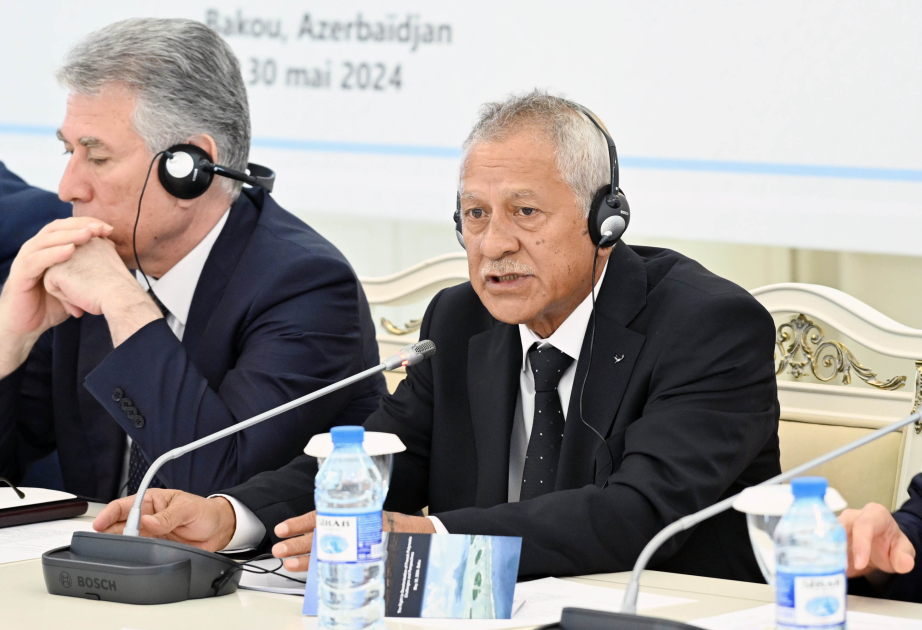 Secretario General del Partido Tavini de la Polinesia Francesa: "Necesitamos el apoyo de Azerbaiyán"