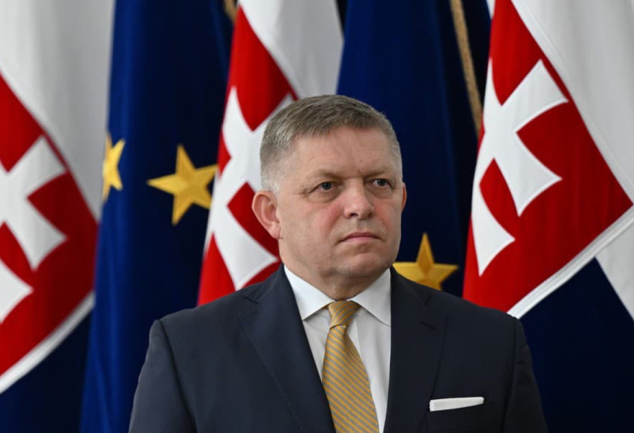 Slovak gov't says PM Fico's condition satisfactory