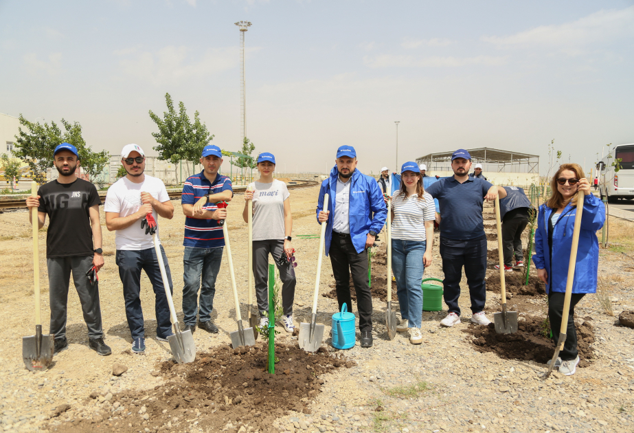 ®  AccessBank поддержал кампанию по посадке деревьев в рамках Года солидарности во имя зеленого мира