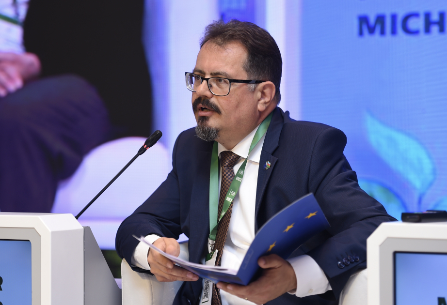 Peter Mixalko: Beynəlxalq humanitar minatəmizləmə fəaliyyəti Azərbaycan vətəndaşlarının qısa müddətdə Qarabağa qayıtması üçün vacibdir VİDEO