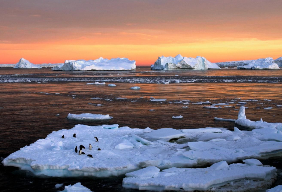 Cleaner shipping fuel is contributing to ocean warming, scientists say