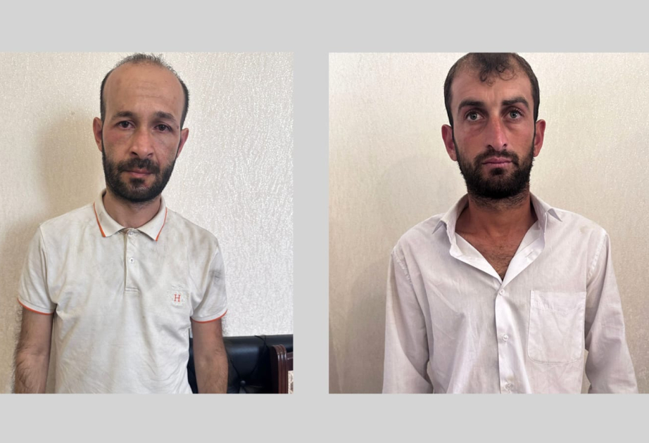 Zərdab rayonunda oğrular isti izlərlə saxlanılıb