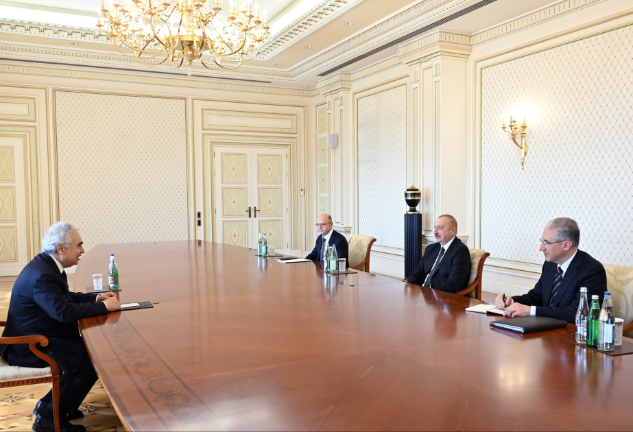 President Ilham Aliyev received Executive Director of International Energy Agency VIDEO
