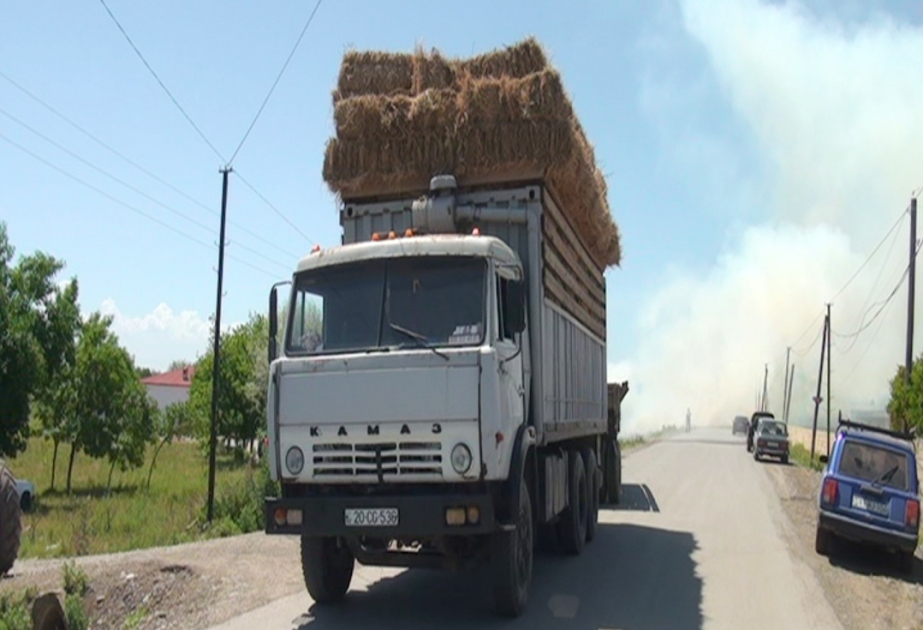 Beyləqanda ot bağlaması daşıyan "KamAz"ın qoşqusu yanıb VİDEO