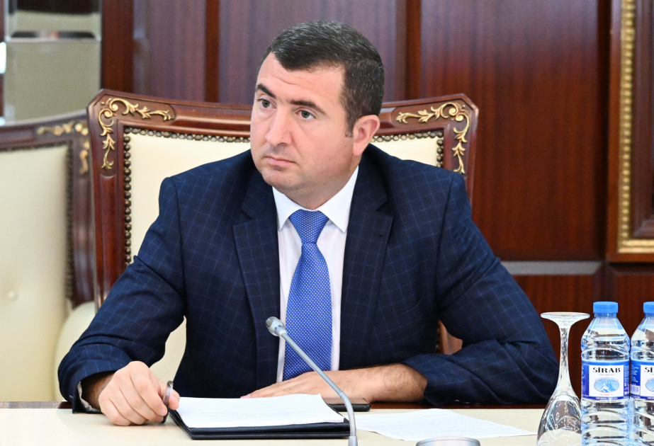 Miqrasiya Xidmətinin rəsmisi: Məqsədli nikahlar qanunsuz miqrasiyanın hüdudlarının genişlənməsinə gətirib çıxarır
