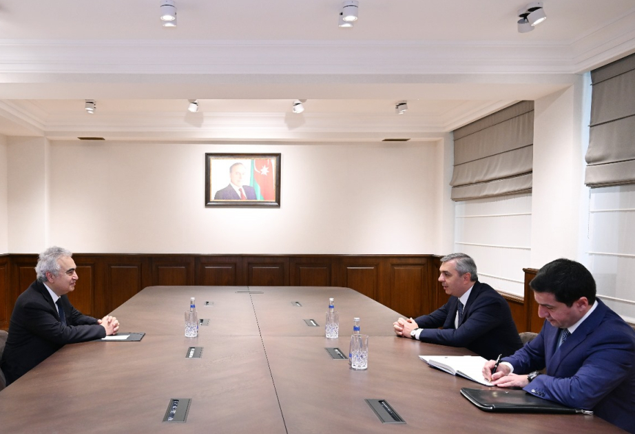 Prezident Administrasiyasının rəhbəri Beynəlxalq Enerji Agentliyinin icraçı direktoru ilə görüşüb