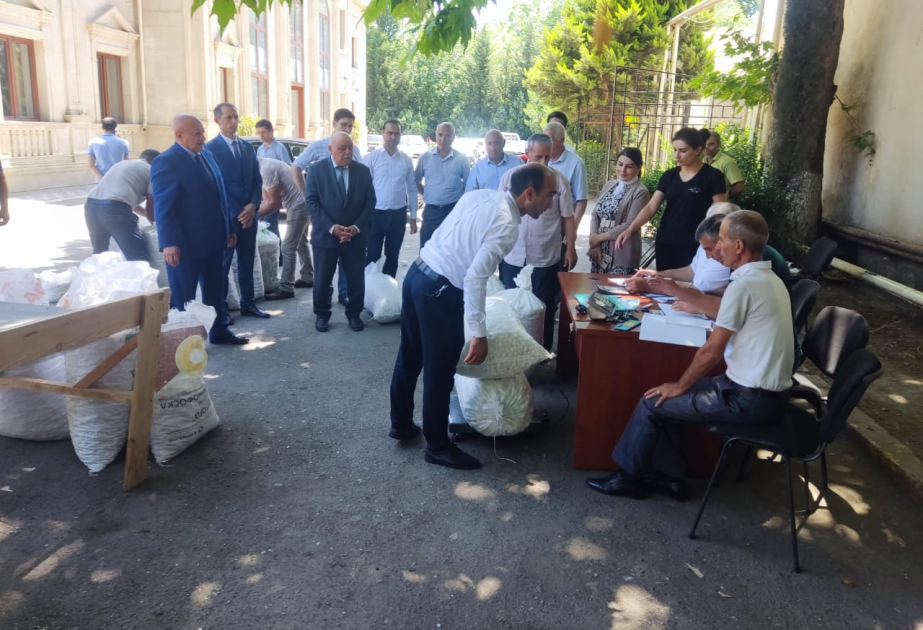 Ağcabədi kümçüləri mövsümün ilk günündə 578 kiloqram barama təhvil veriblər