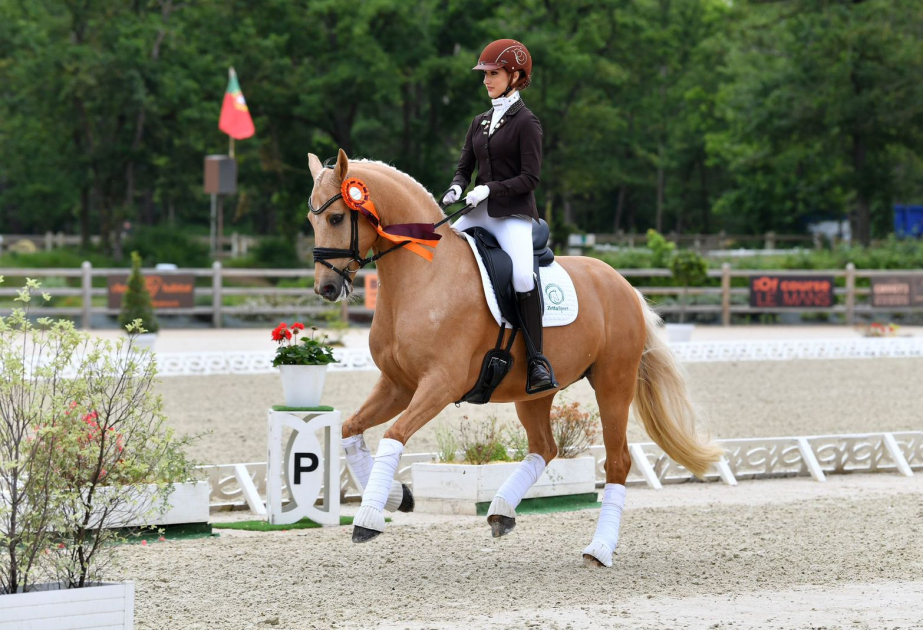 Азербайджанская спортсменка завоевала кубок на международных соревнованиях по конному спорту