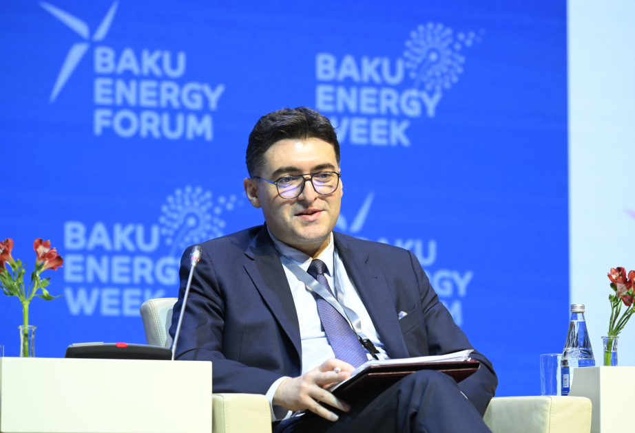 Nazir müavini: “Xəzər-Qara dəniz-Avropa” enerji dəhlizinə böyük ehtiyac var VİDEO