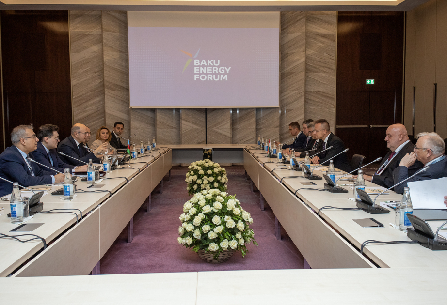 Macarıstan şirkətləri ilə enerji tərəfdaşlığının genişləndirilməsi müzakirə edilib