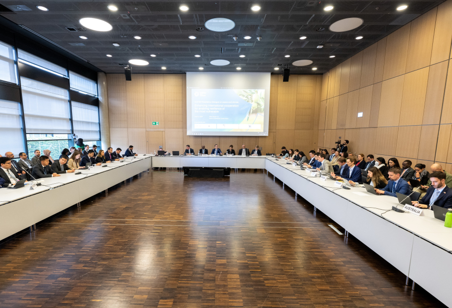 Azərbaycanın COP29-da “Sülh və iqlim qovşağı” mövzusuna diqqəti BMT-nin İqlim Konfransında təqdirlə qarşılanıb