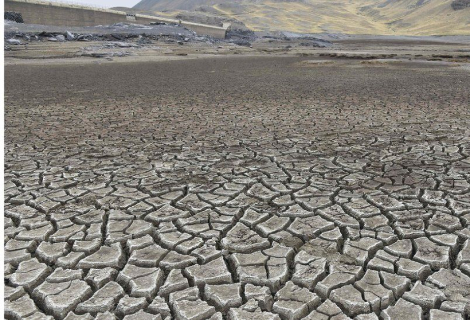 Drought, frost displace 13,000 families in Bolivia