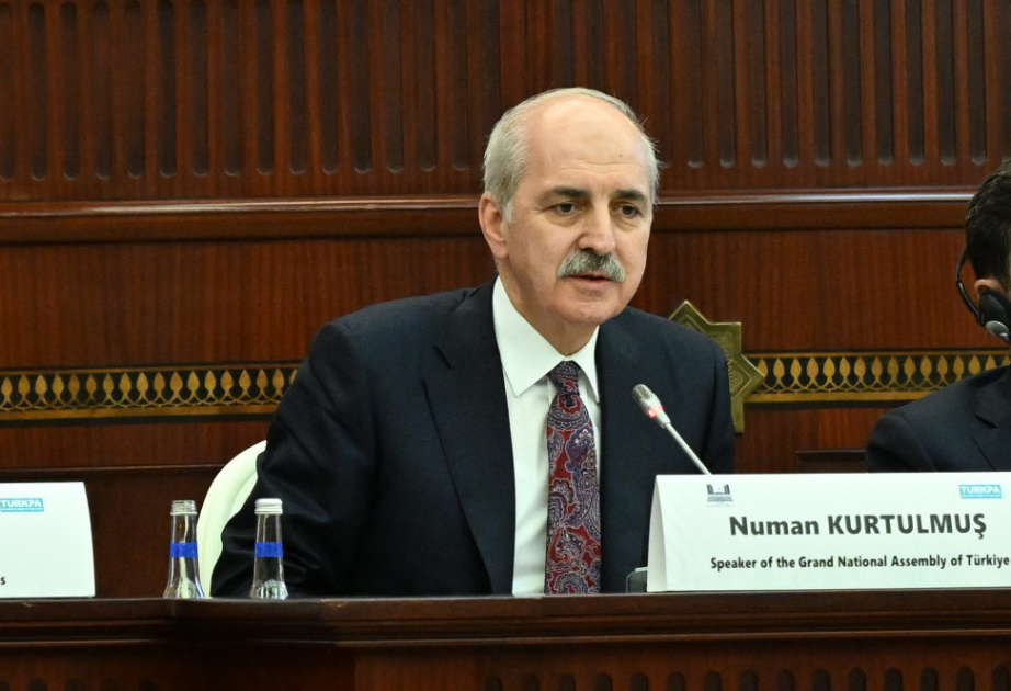Председатель ВНСТ: Укрепление тюркского мира не должно никого беспокоить